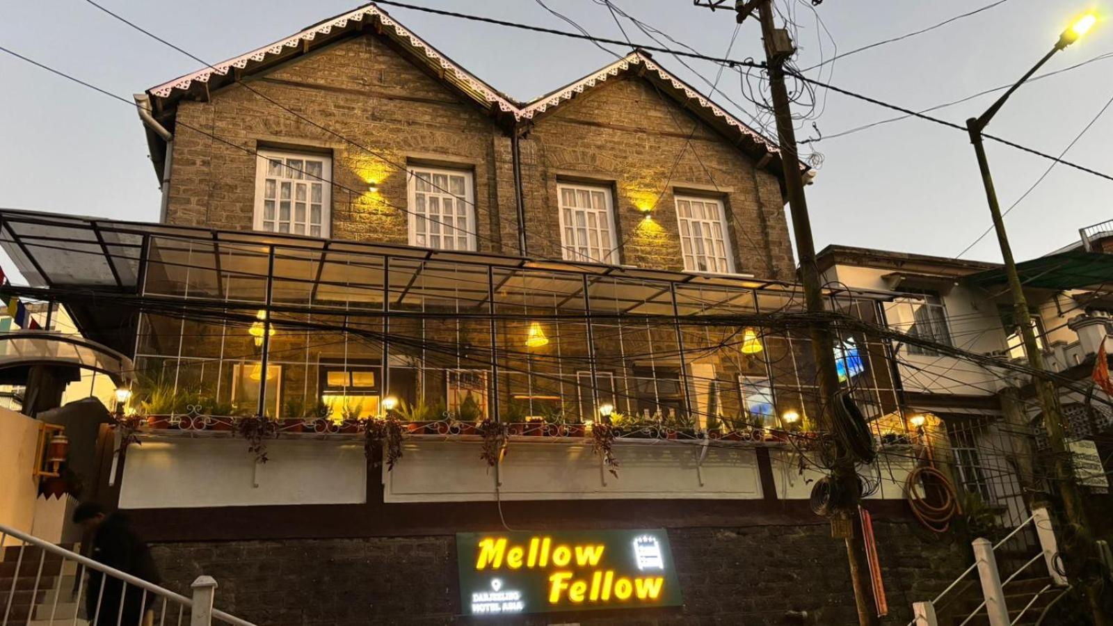 Mellow Fellow Hostel, Darjeeling