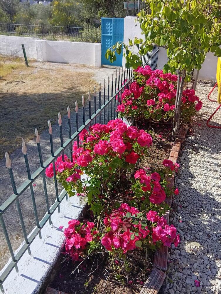 Natural Hostel