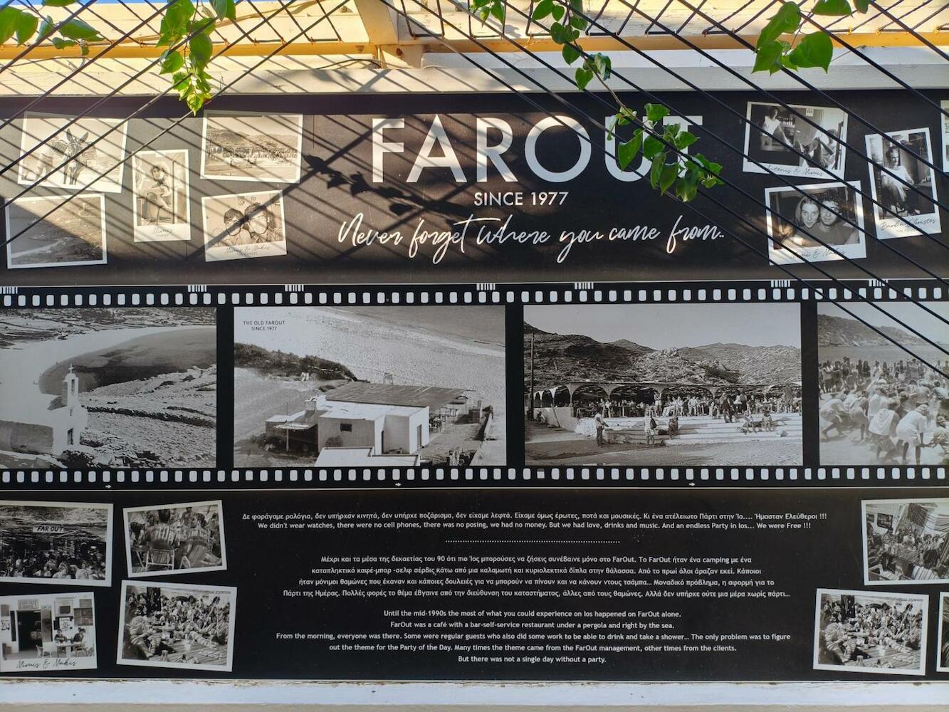 Far Out Camping + Bungalows, Ios