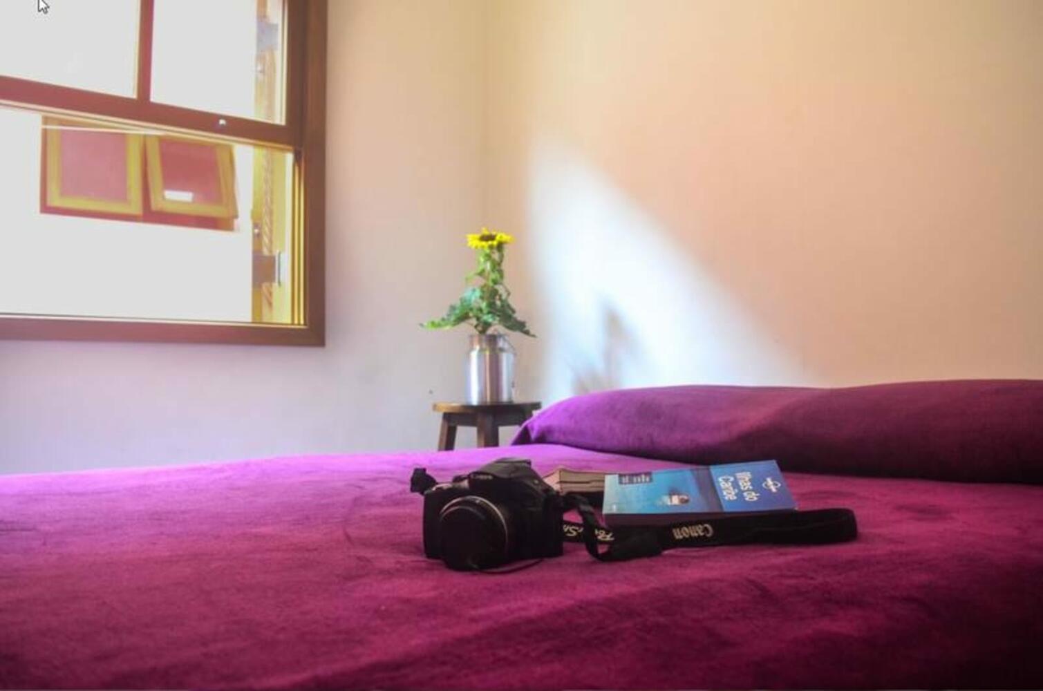 Conforto MADÁ hostel