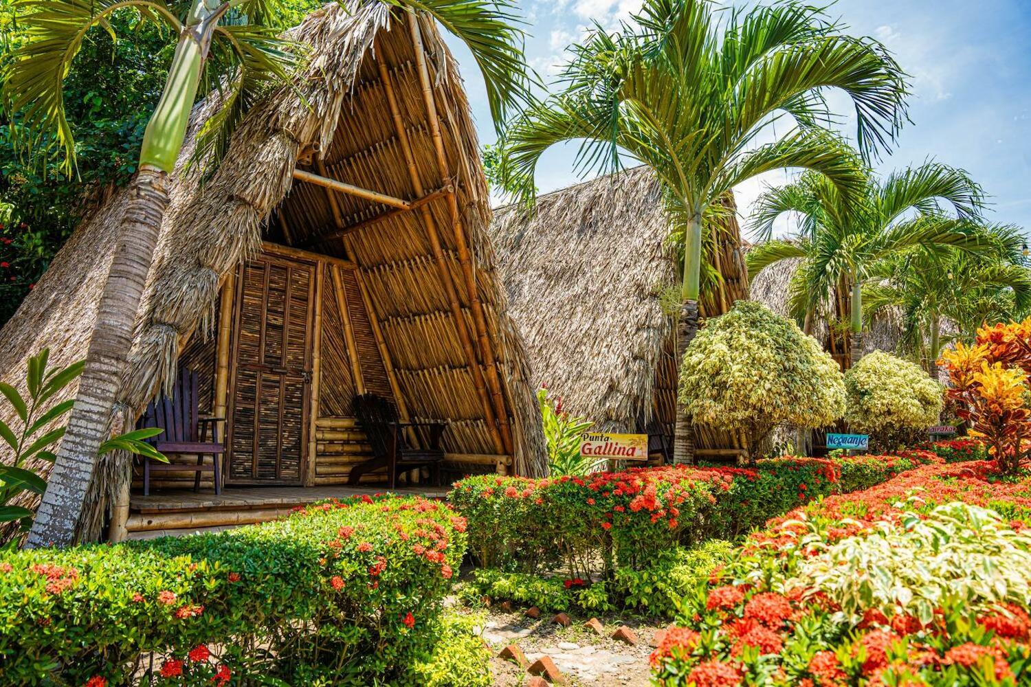 Tiki Hut Hostel, Palomino
