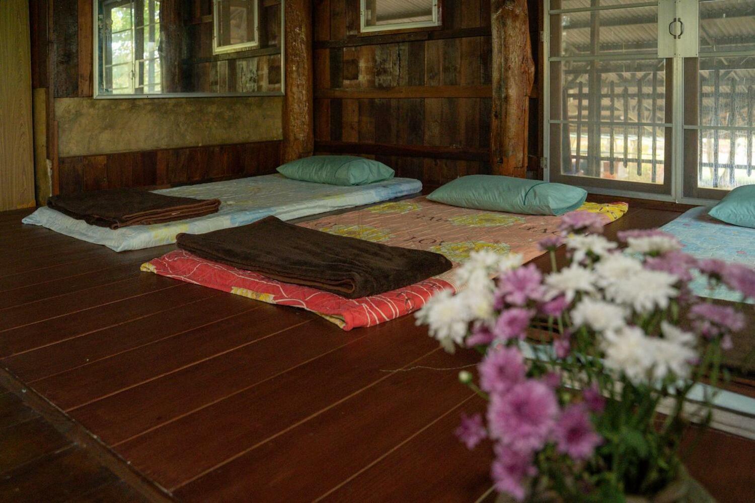 Art House at Chiangdao - Waterlily House, Chiang Dao