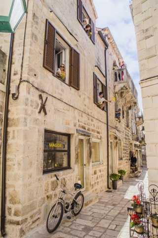 The White Rabbit Hostel