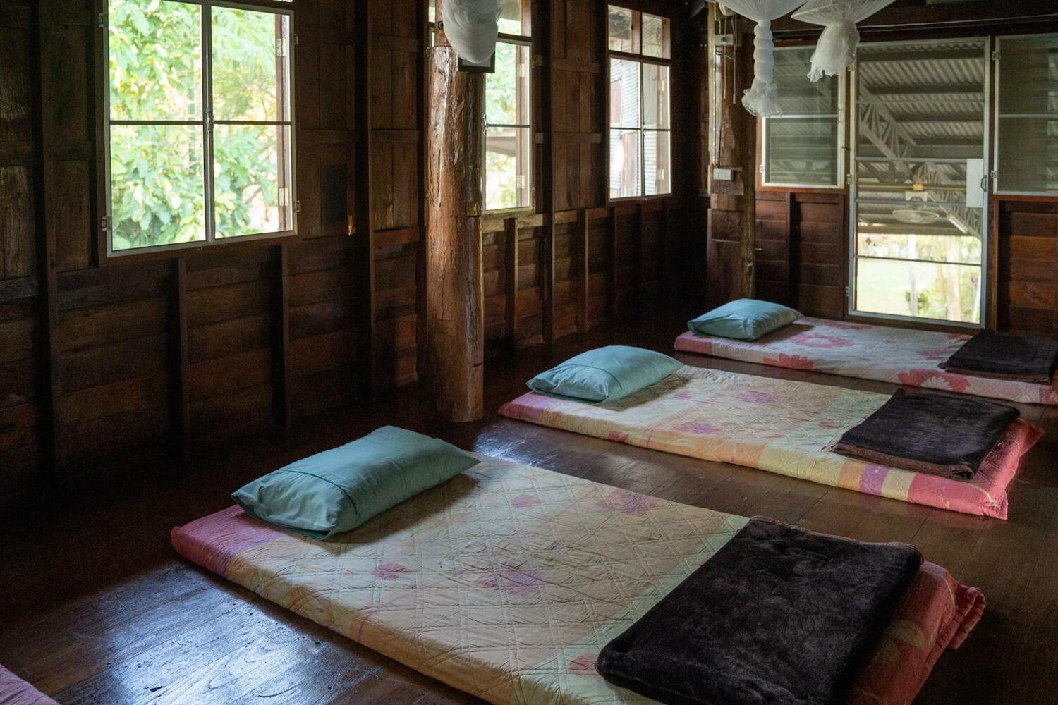 Art House at Chiangdao - Waterlily House, Chiang Dao