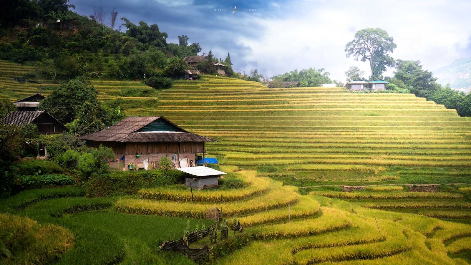 Eco Hills Homestay