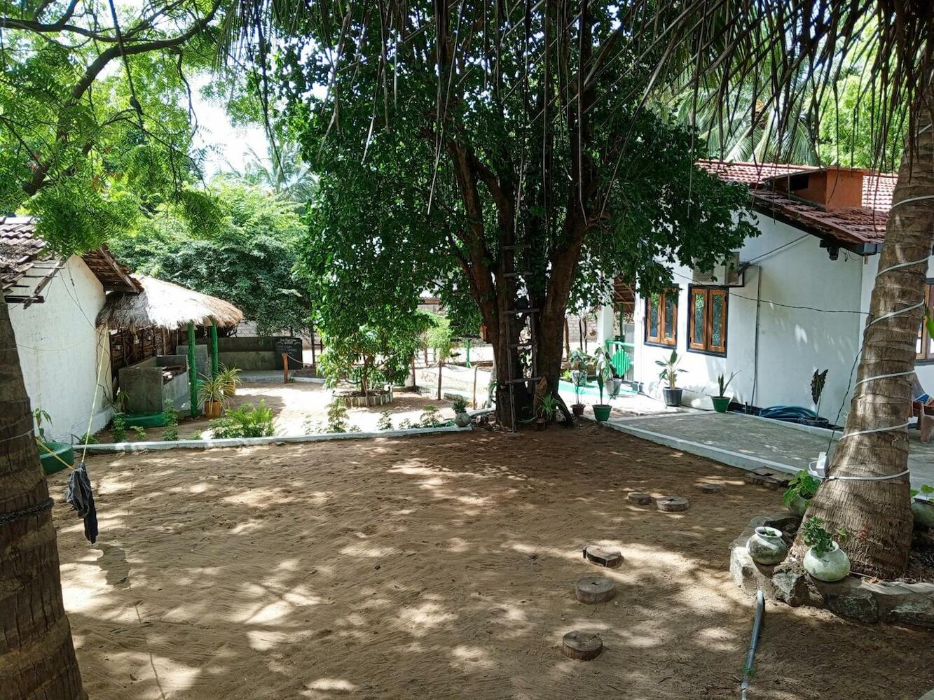 Surfing Lion Hostel, Arugam Bay
