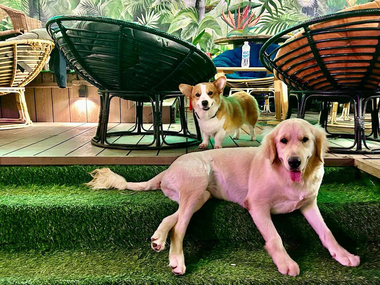 Rom Casa Hostel, Da Nang