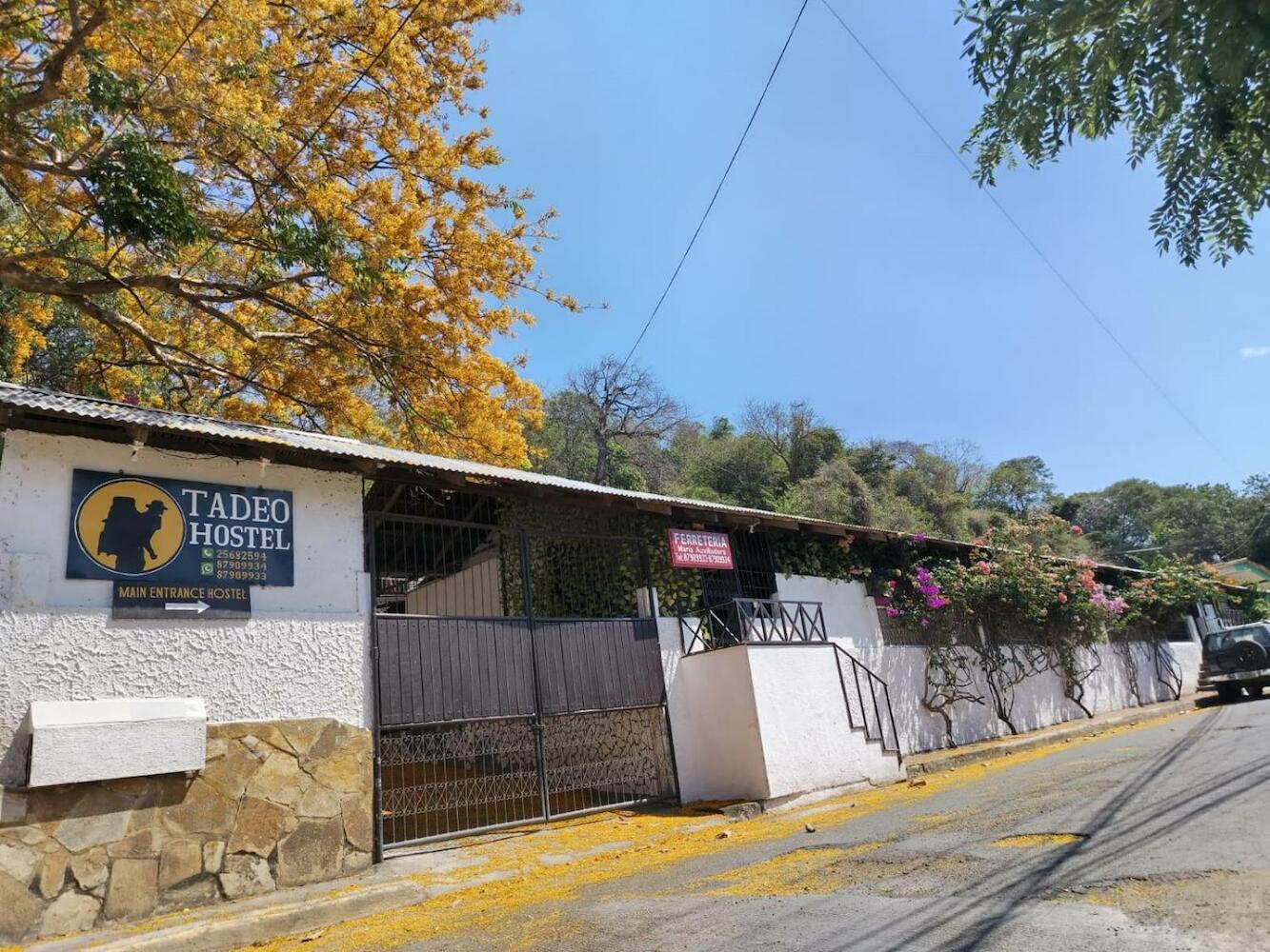 Hostel Tadeo, San Juan del Sur