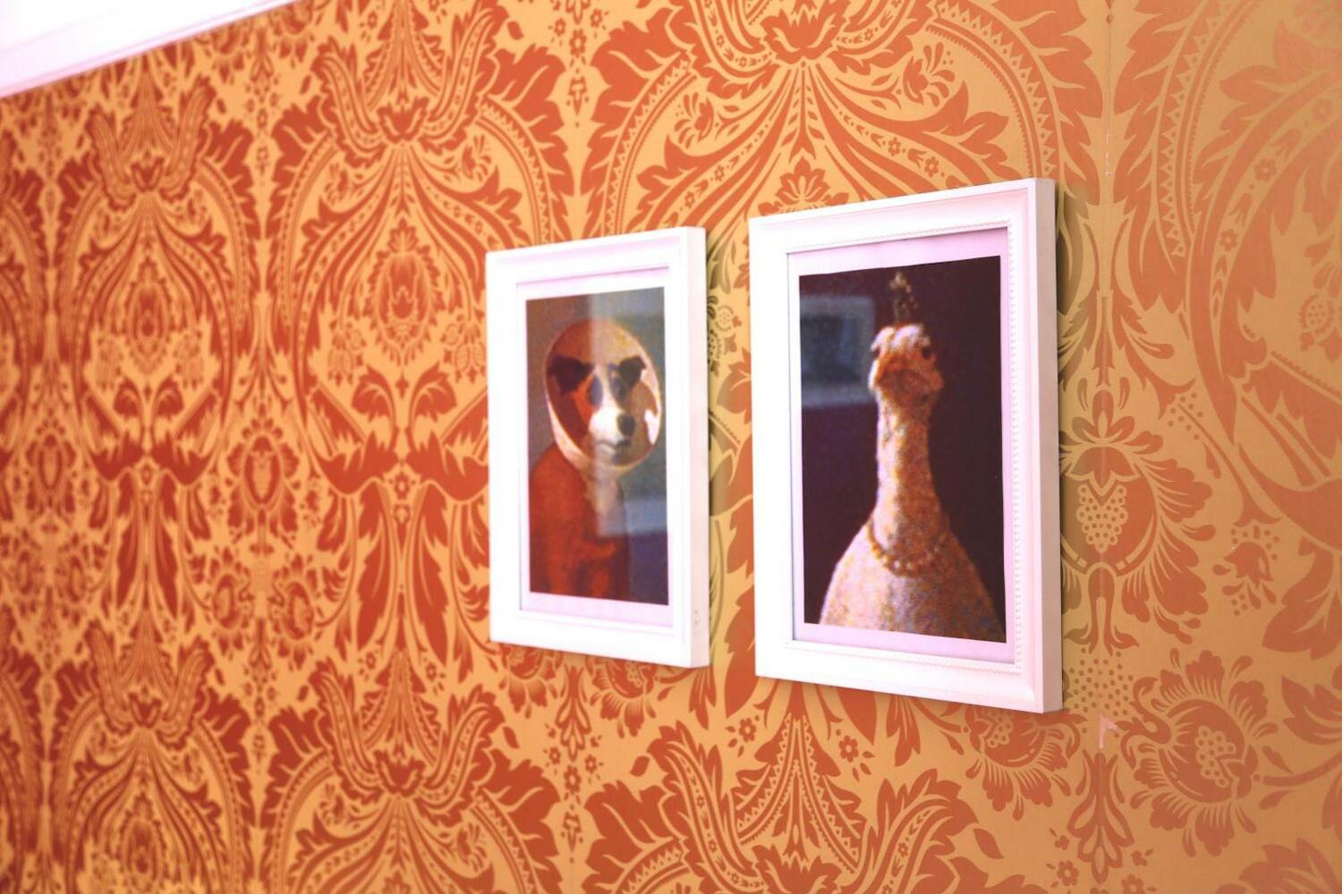 Rivoli Cinema Hostel, Porto