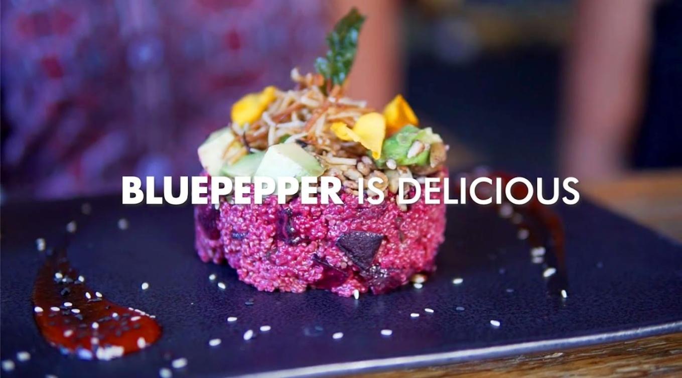 Bluepepper City Hostel, Guadalajara