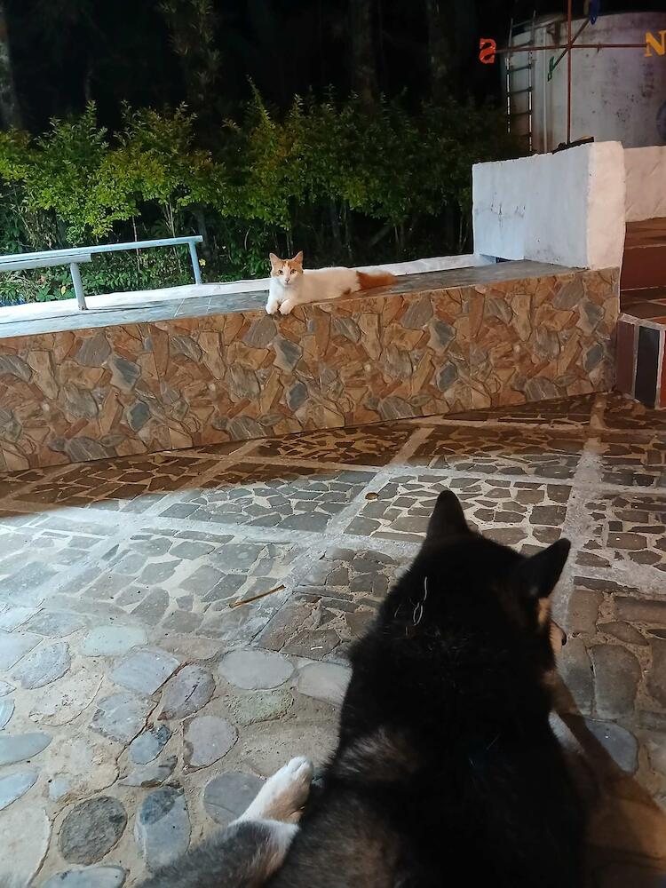 Vista Farallones Hostel, Jardin