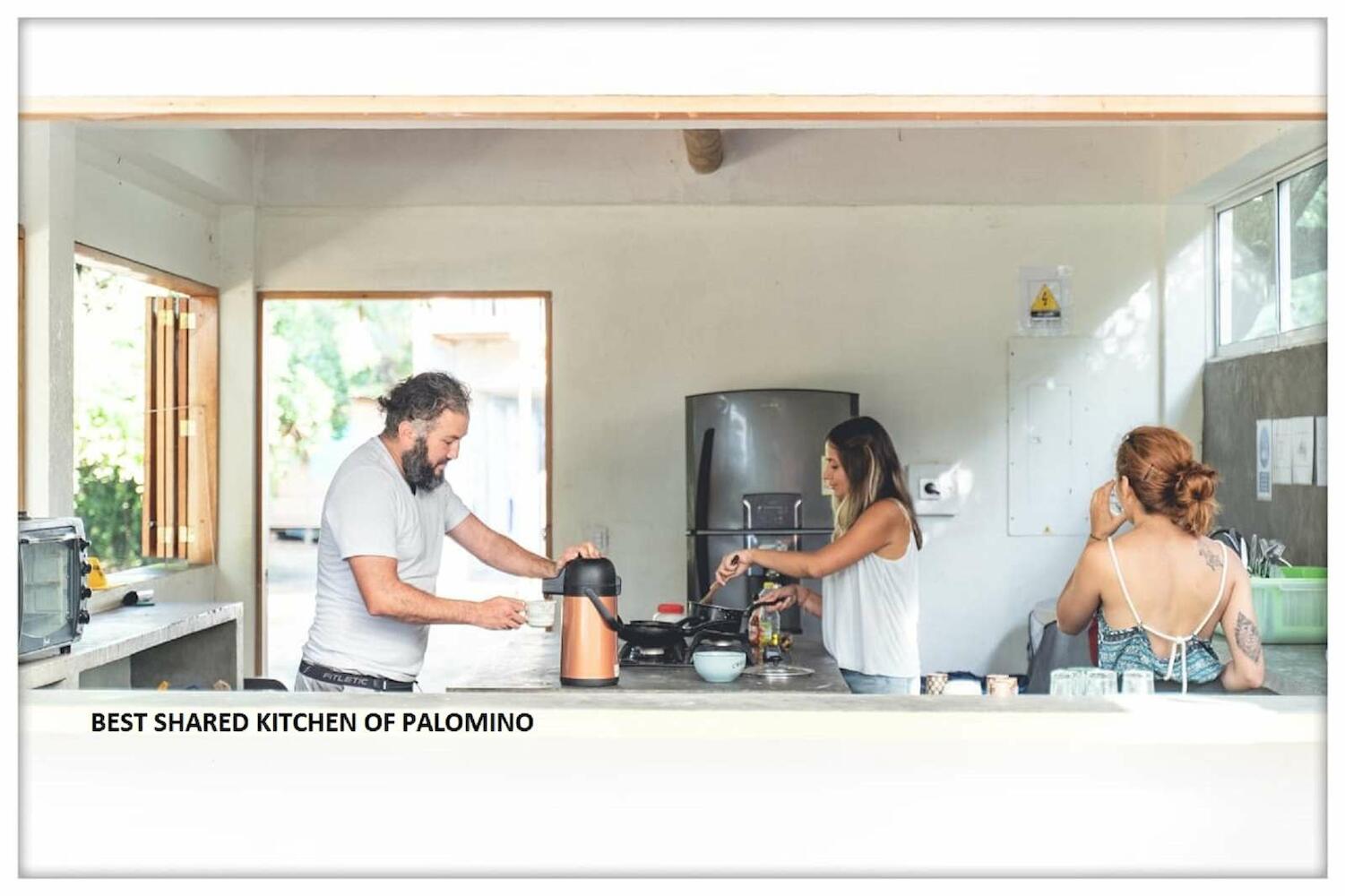 Freesoul, Palomino