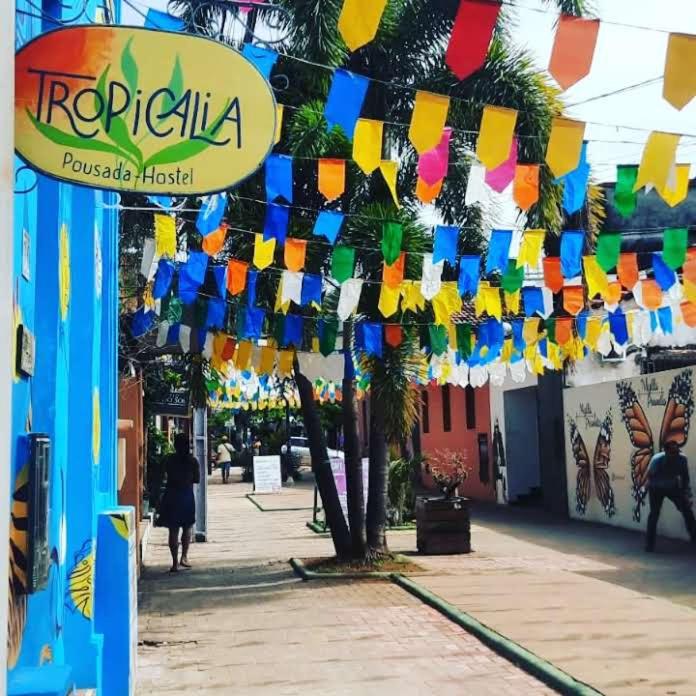 Tropicália Pousada Hostel, Itacaré
