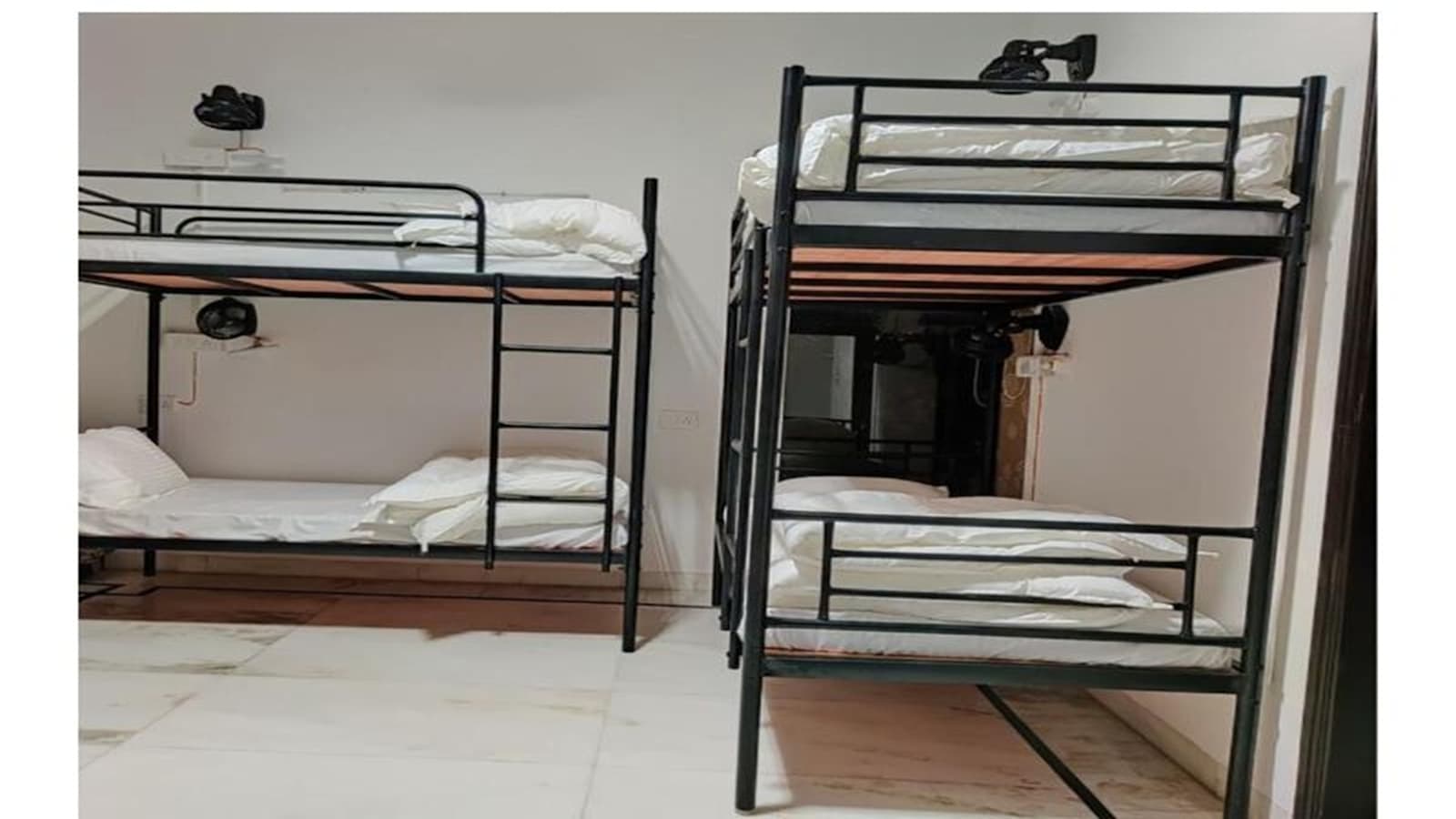 Whiite Panda, New Delhi