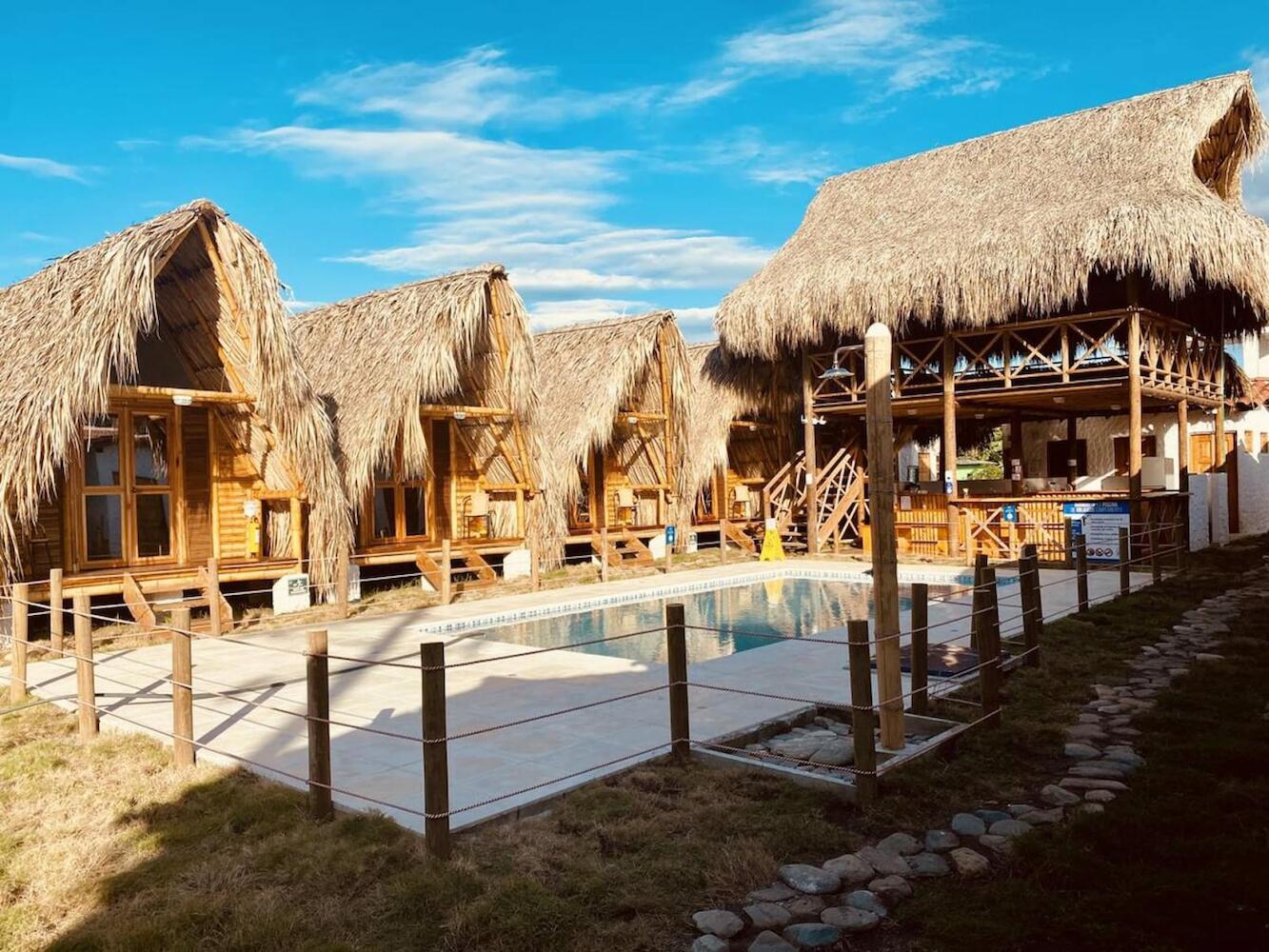 Palomino Sunrise, Palomino