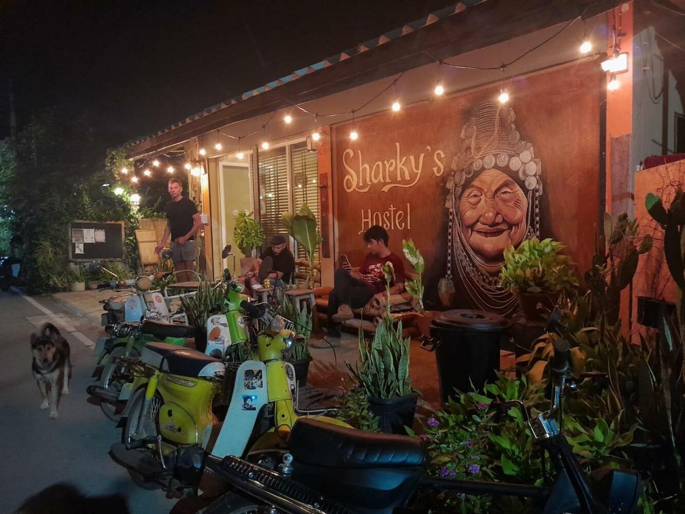 Sharky's Hostel