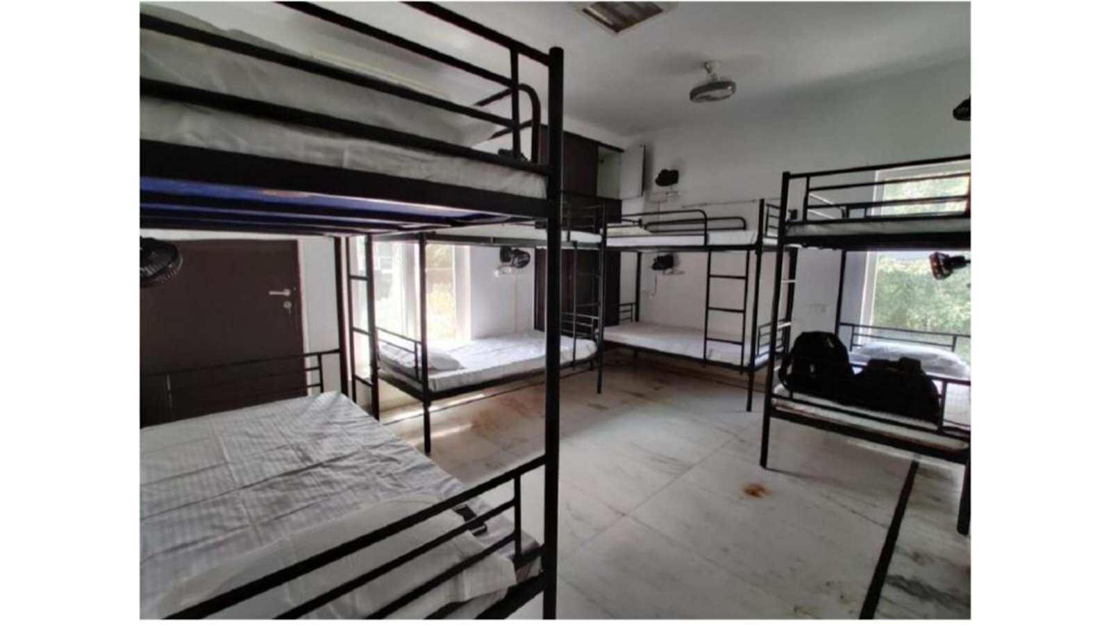 Whiite Panda, New Delhi