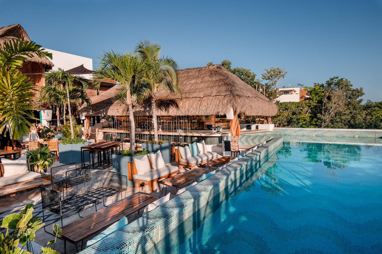 Mayan Monkey Hostel