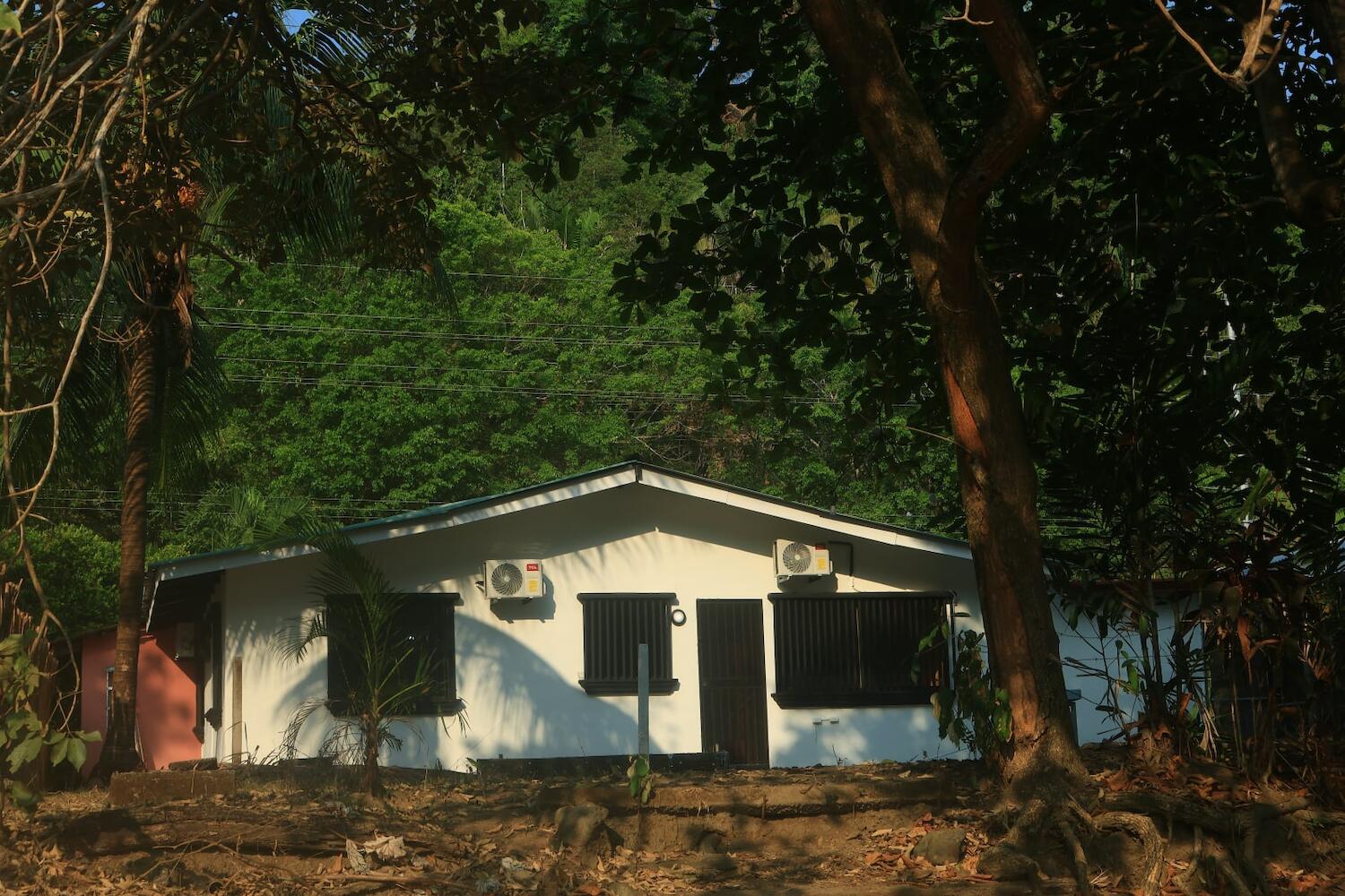 Tropical Camas, Jacó