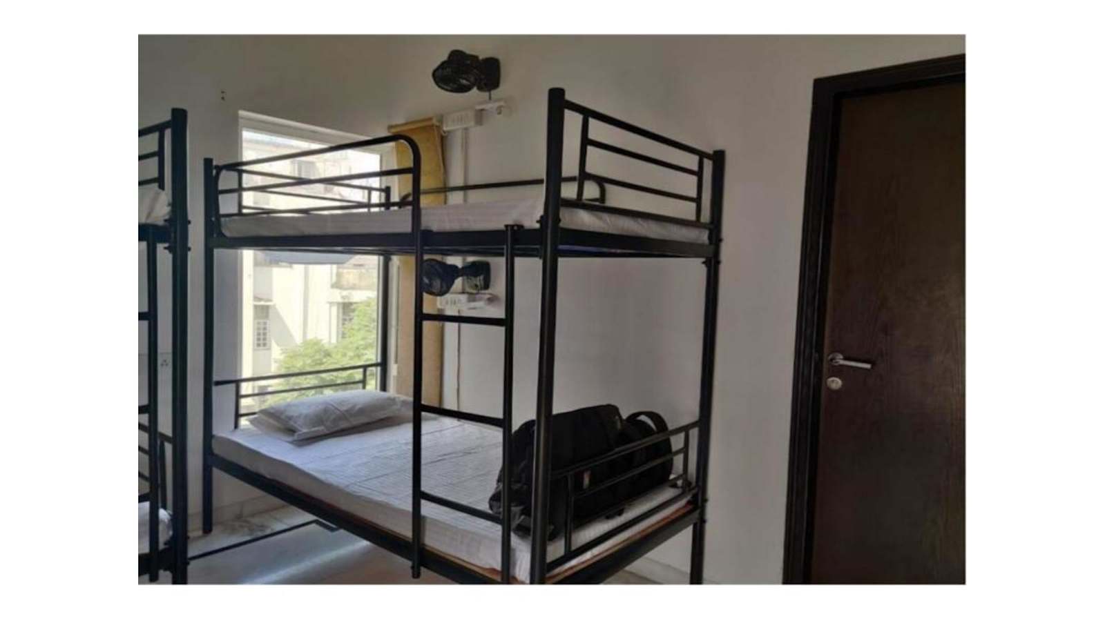 Whiite Panda, New Delhi