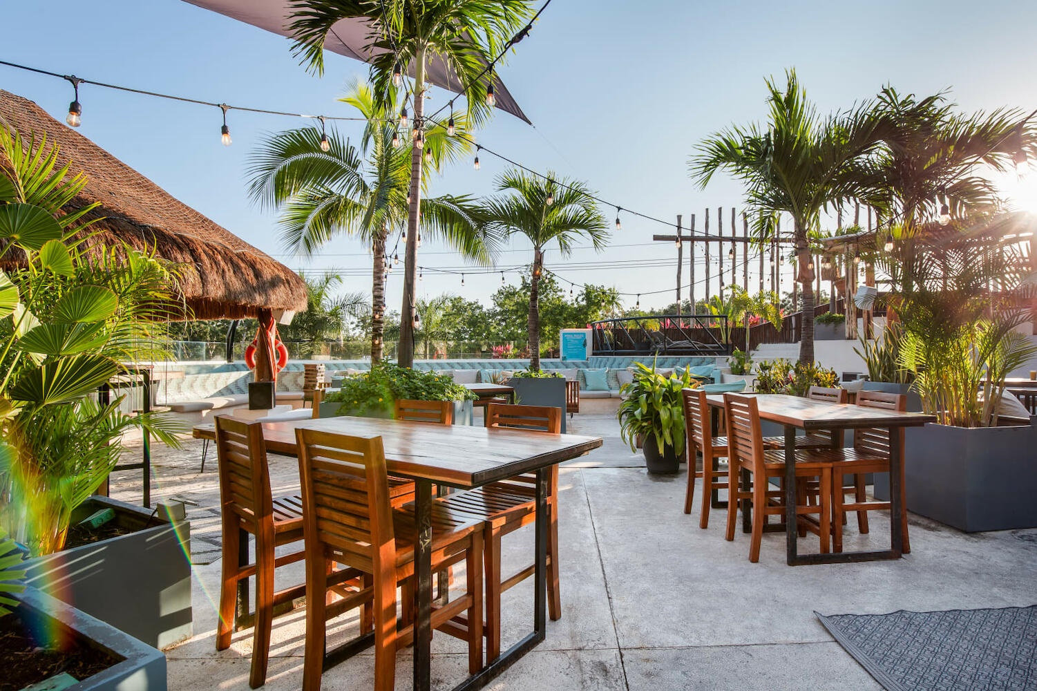 Mayan Monkey Hostel