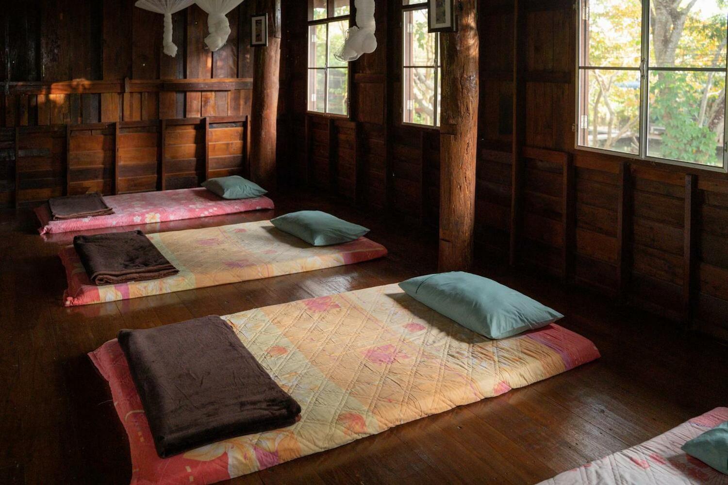 Art House at Chiangdao - Waterlily House, Chiang Dao