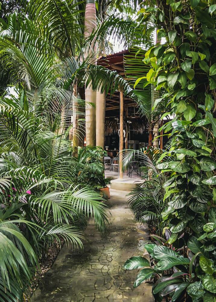 Kanta Sana, Palomino