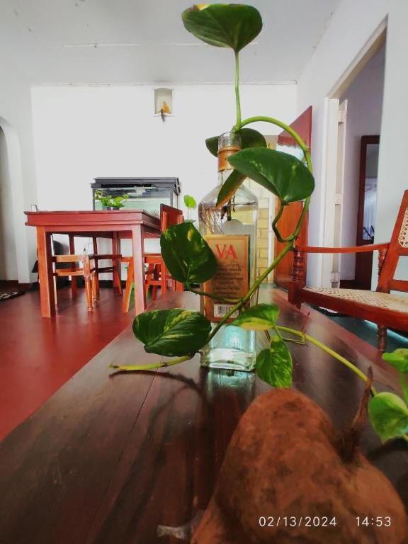 Sheyyes hostel, Galle