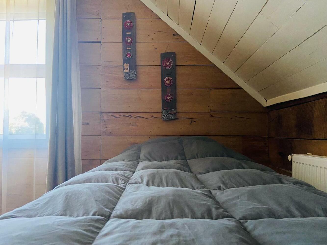 Casa Apel Hostel
