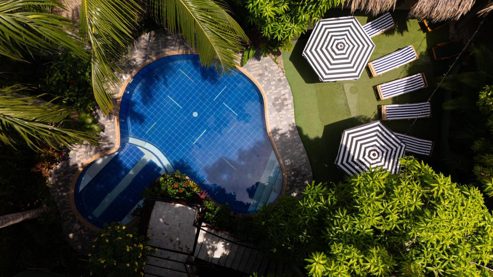 Kanta Sana, Palomino