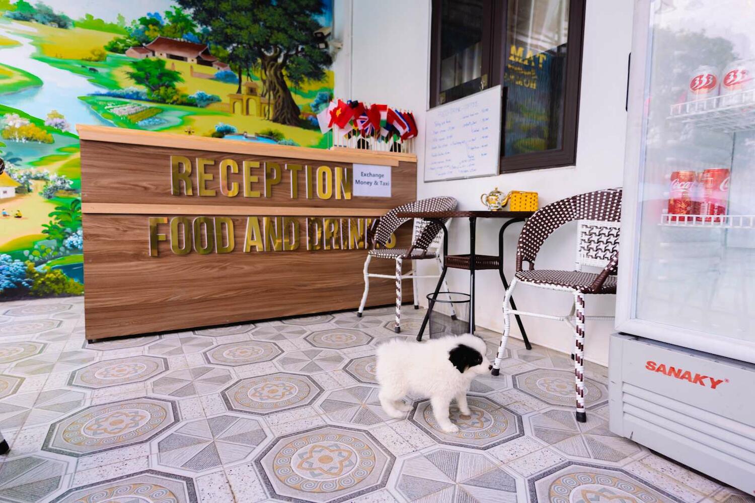 Tam Coc Mountain Flower Hostel, Ninh Binh
