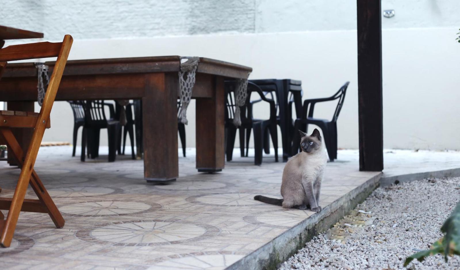 Sagui Hostel, Florianópolis