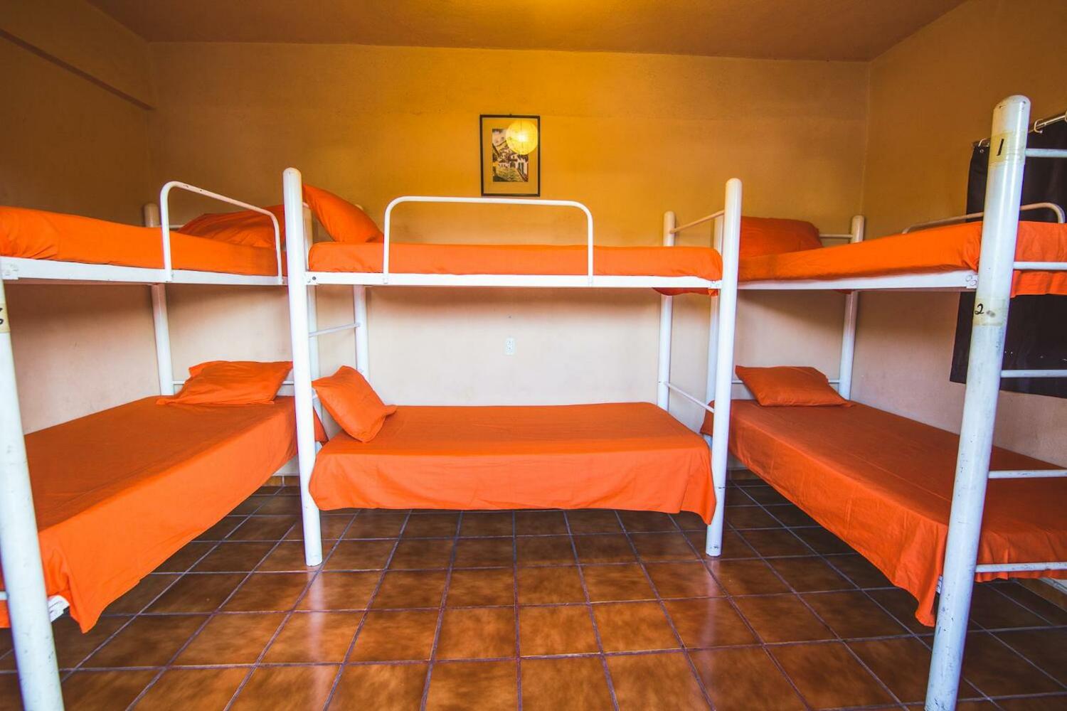 Oasis Original Hostel
