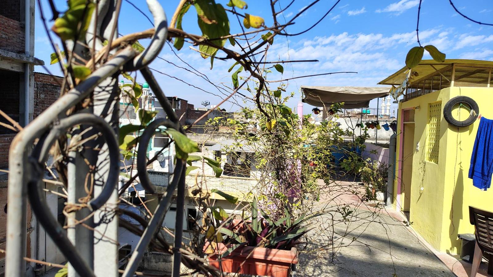 Ali Baba Hostel, Jaipur