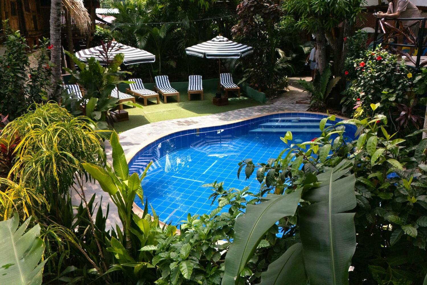 Kanta Sana, Palomino