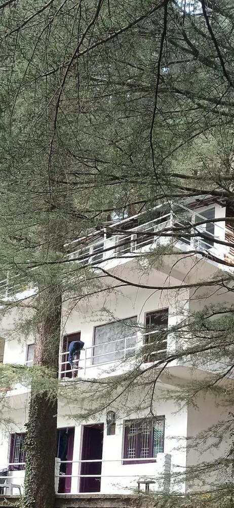 Himalayan Trekking & Waterfalls View Homestay, McLeod Ganj
