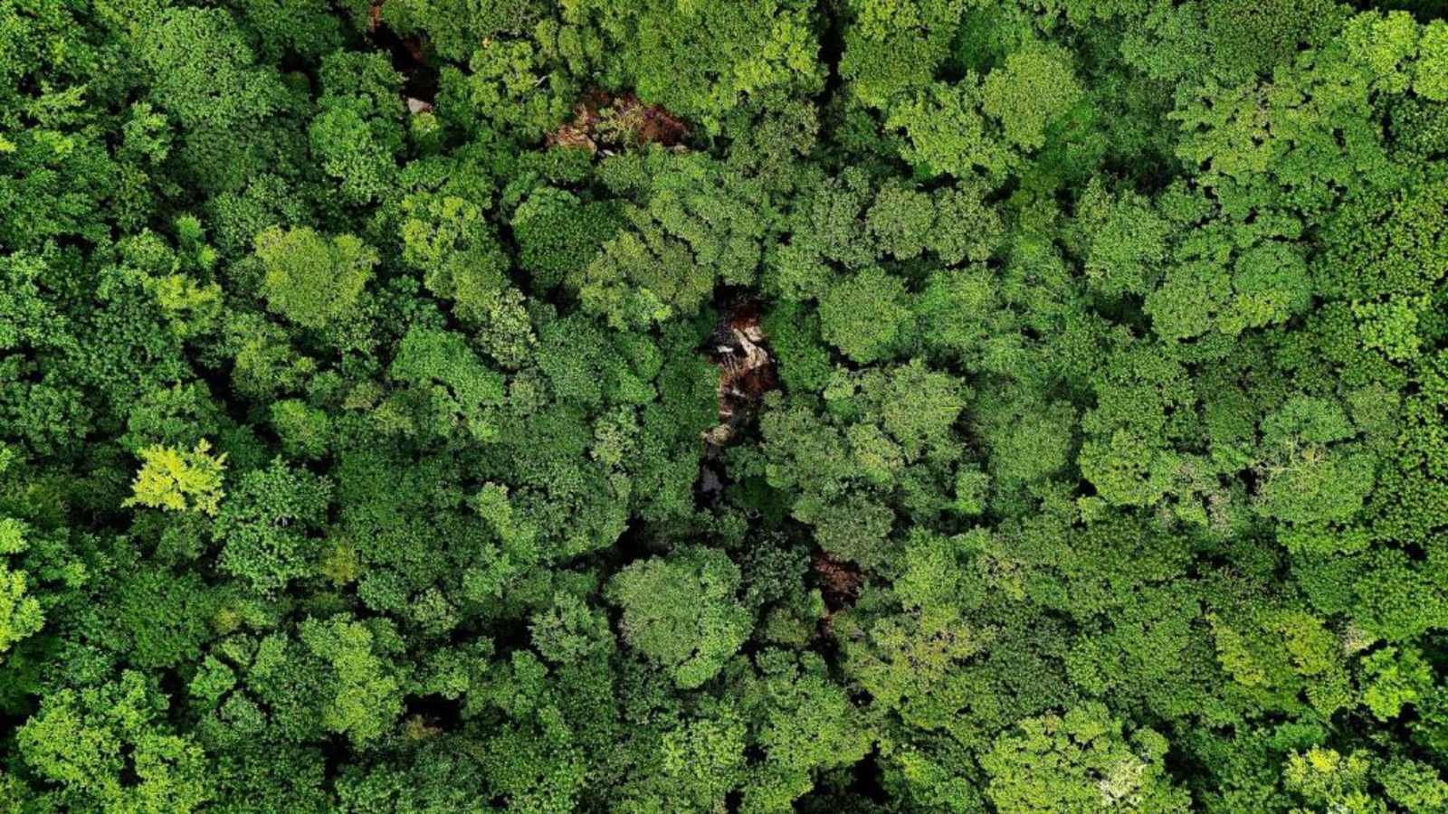 M Hostel Tayrona, Tayrona Park