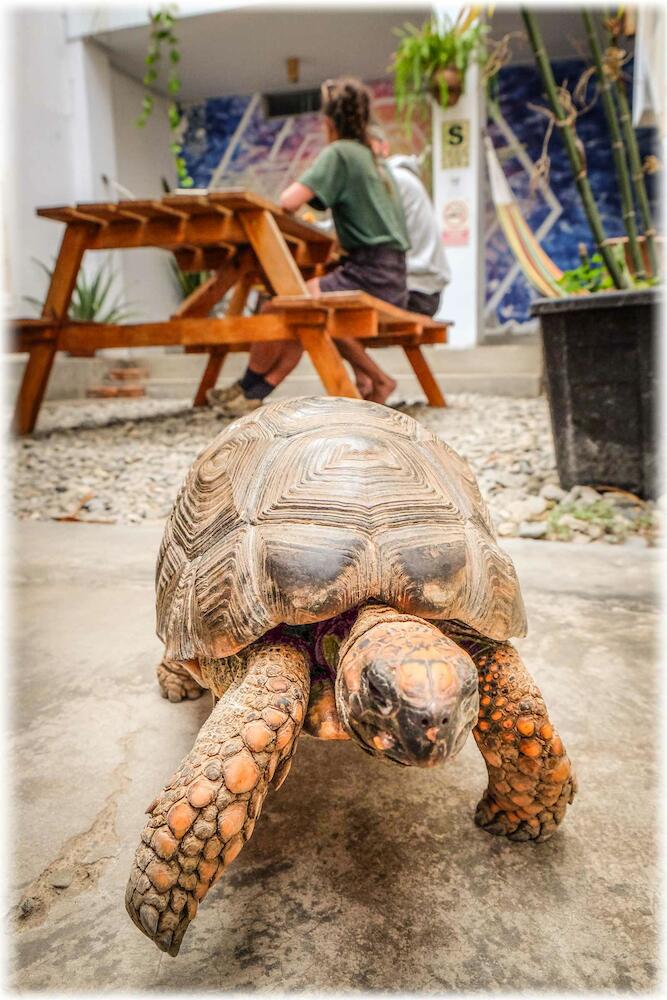 ATMA Hostel & Yoga, Huanchaco