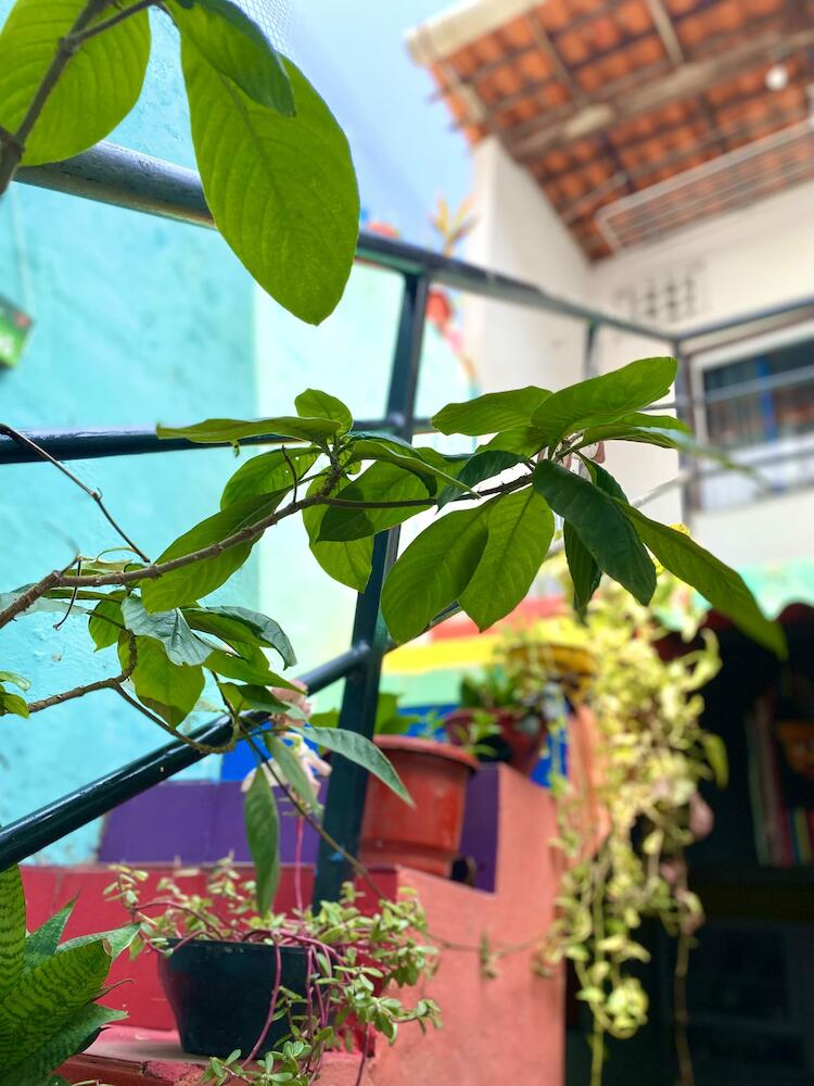 Casa Guarnicê Hostel, São Luís
