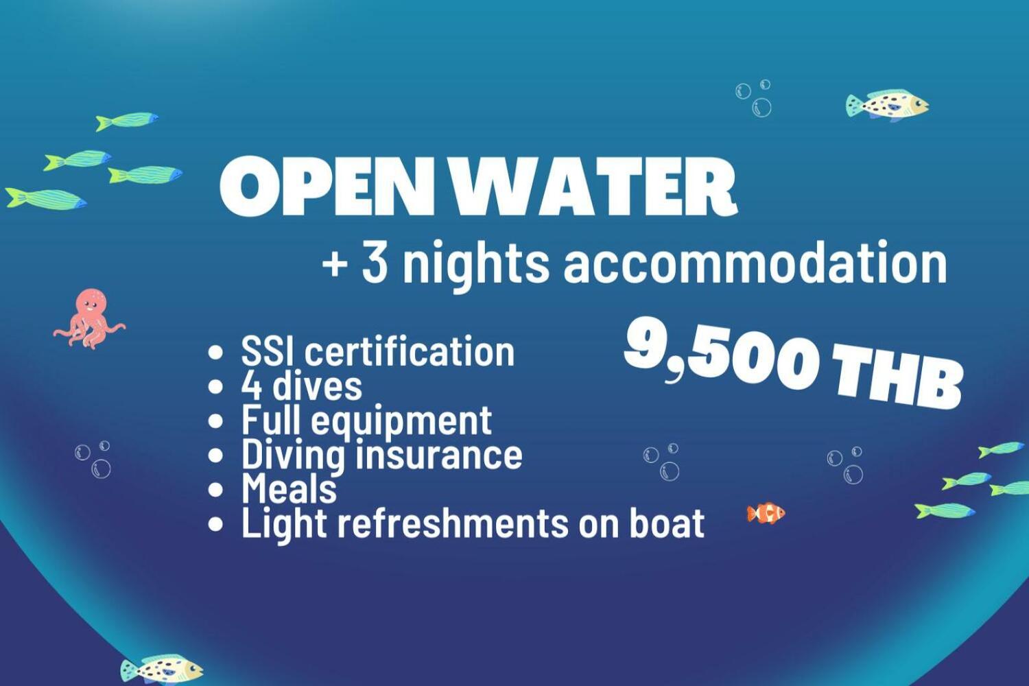 Chalok Hostel, Koh Tao