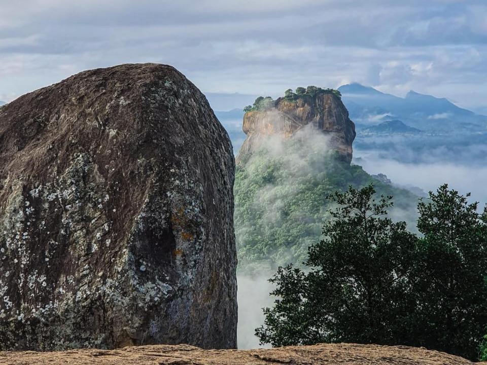 The Travel Tree Hostel, Sigiriya