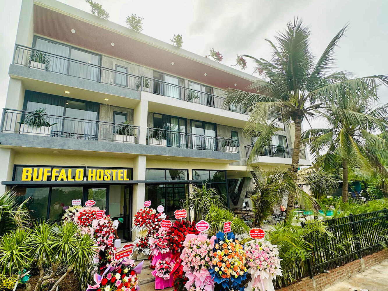 Ninh Binh Buffalo Hostel