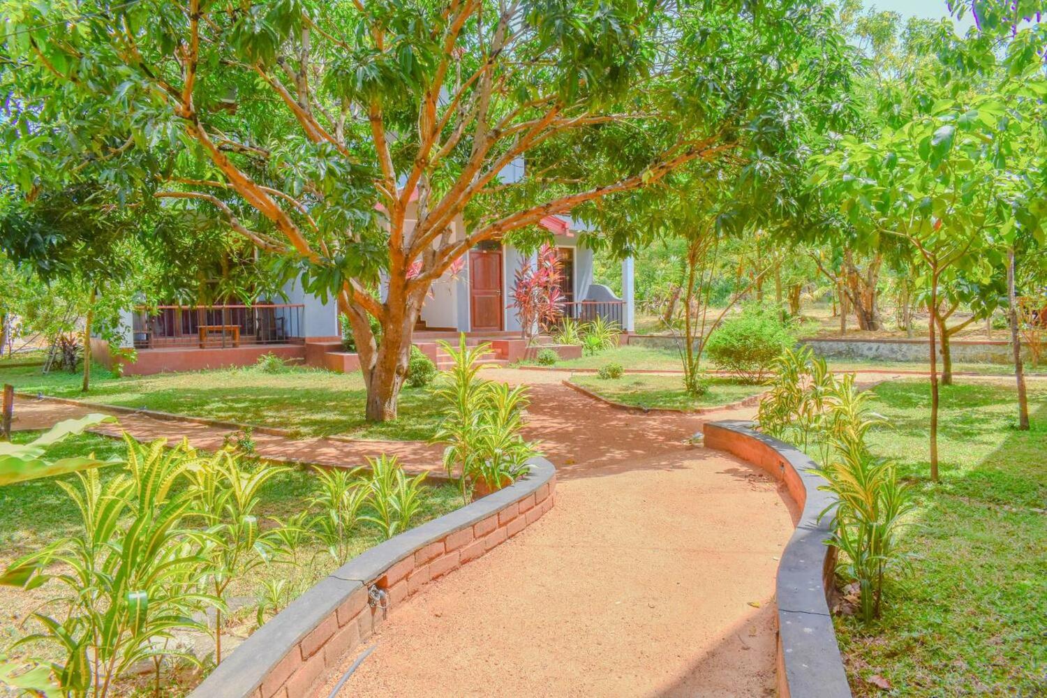 The Green Hostel