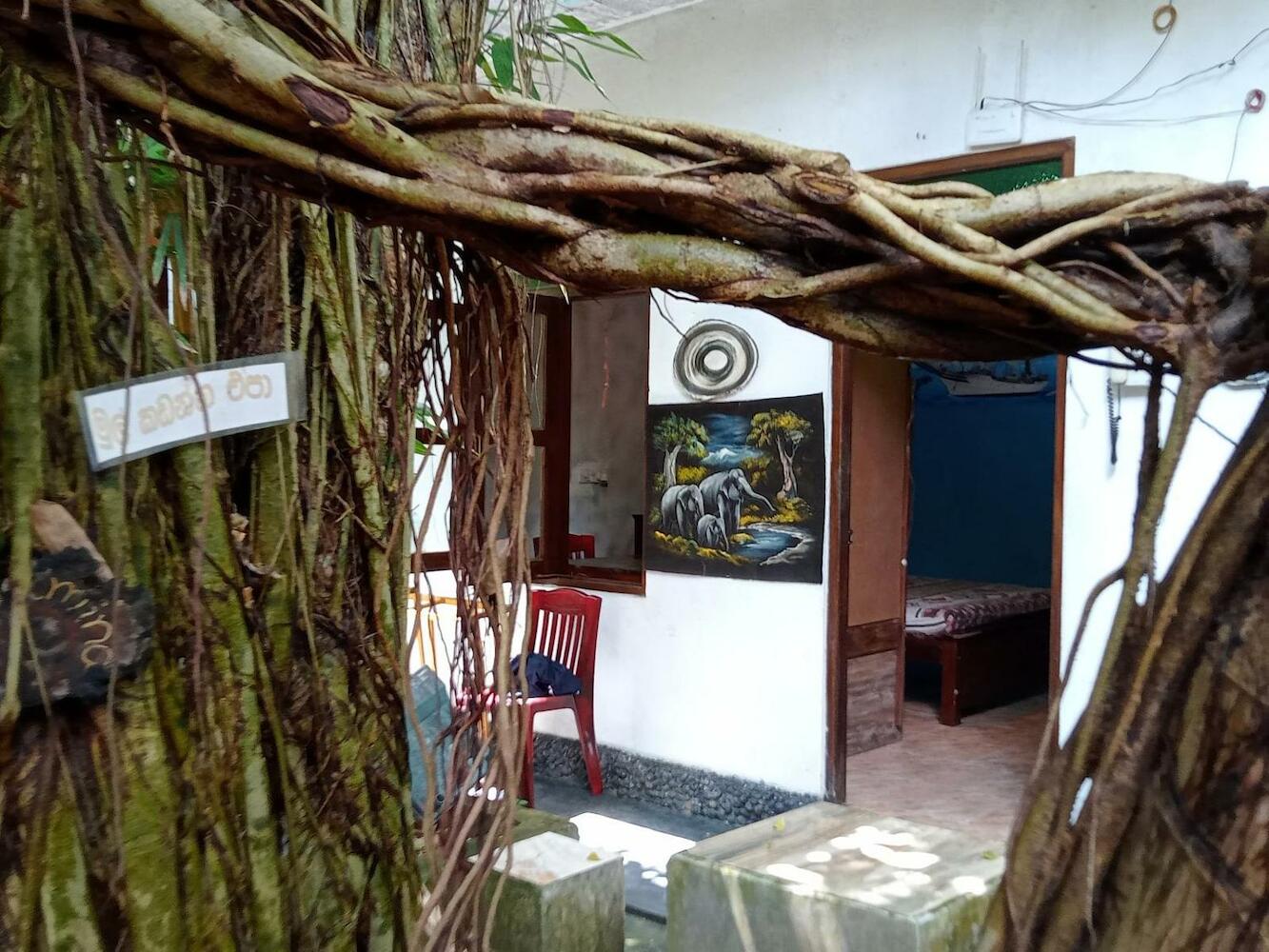 Surf & stay surf camp & school, Weligama