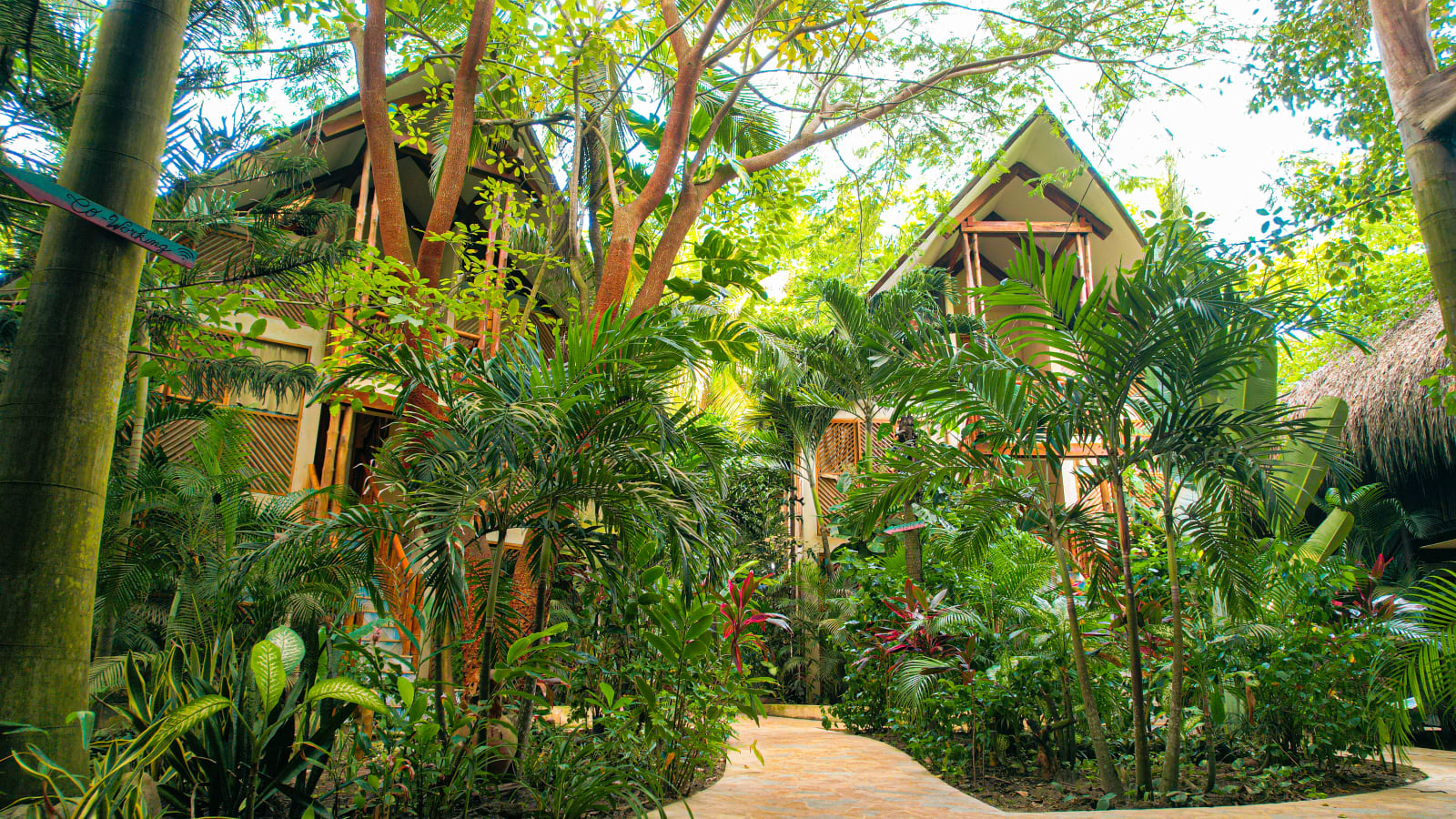 Masaya Tayrona & Beach Club, Tayrona Park
