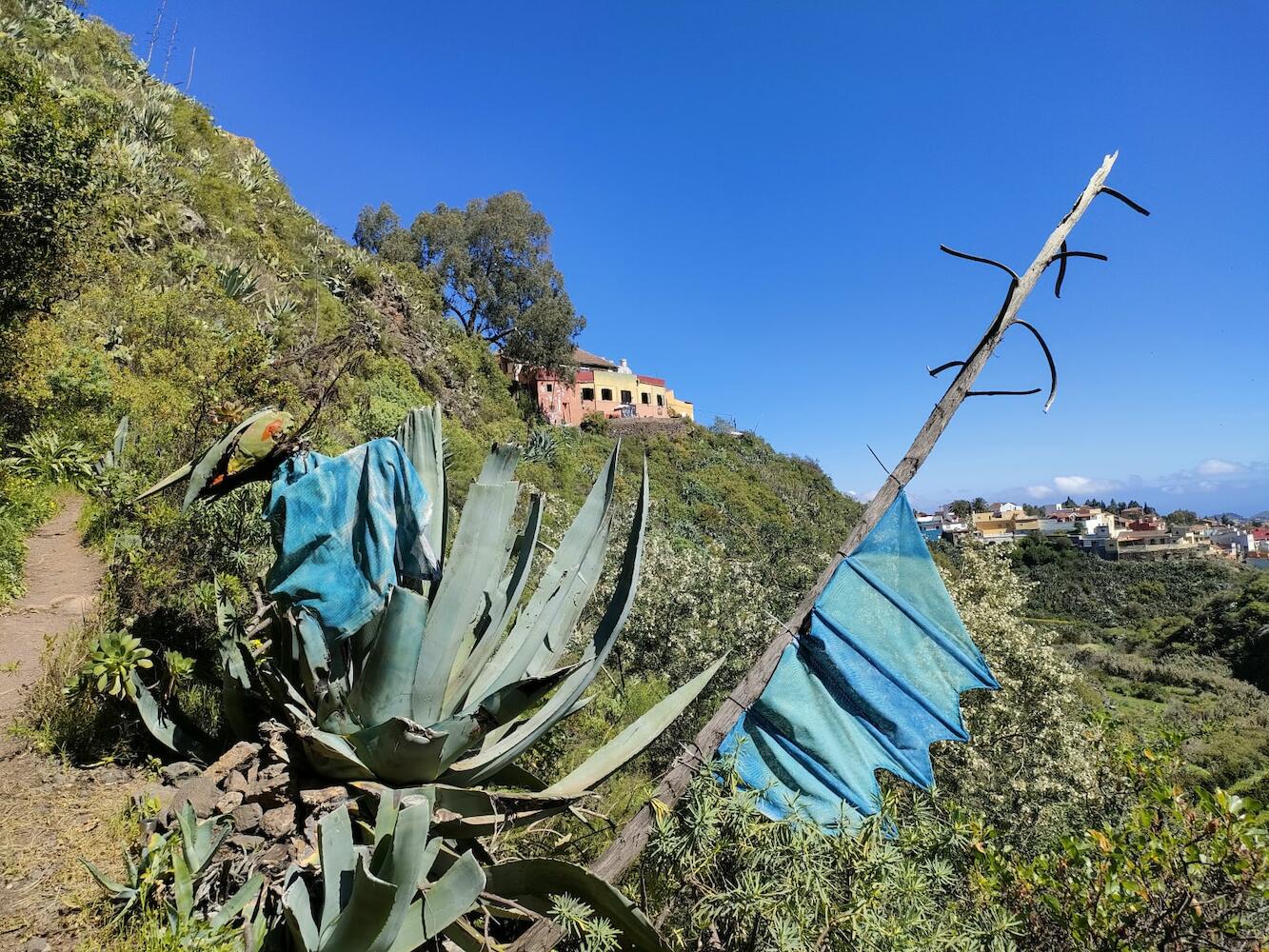 Camino Art Hostel