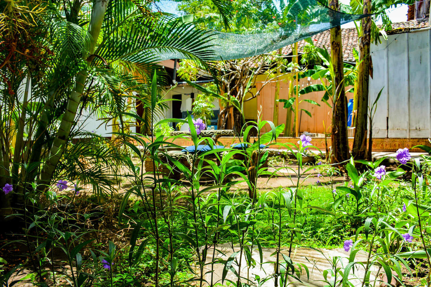 Casa Gallo Pinto