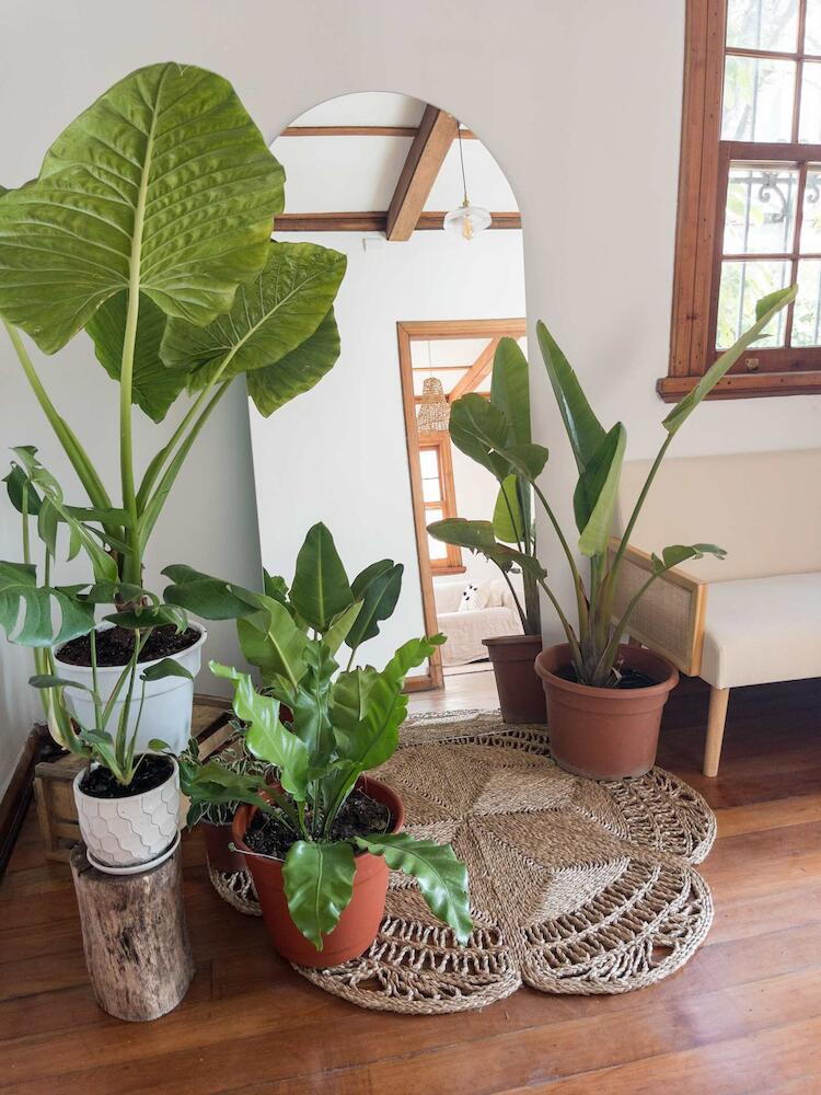 La Posada Coliving, Viña del Mar