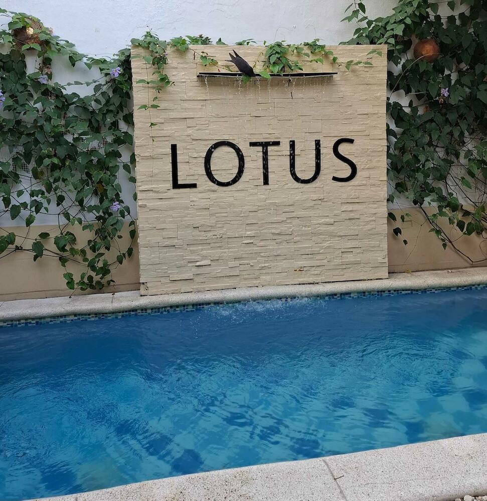 Lotus Central, Santa Marta