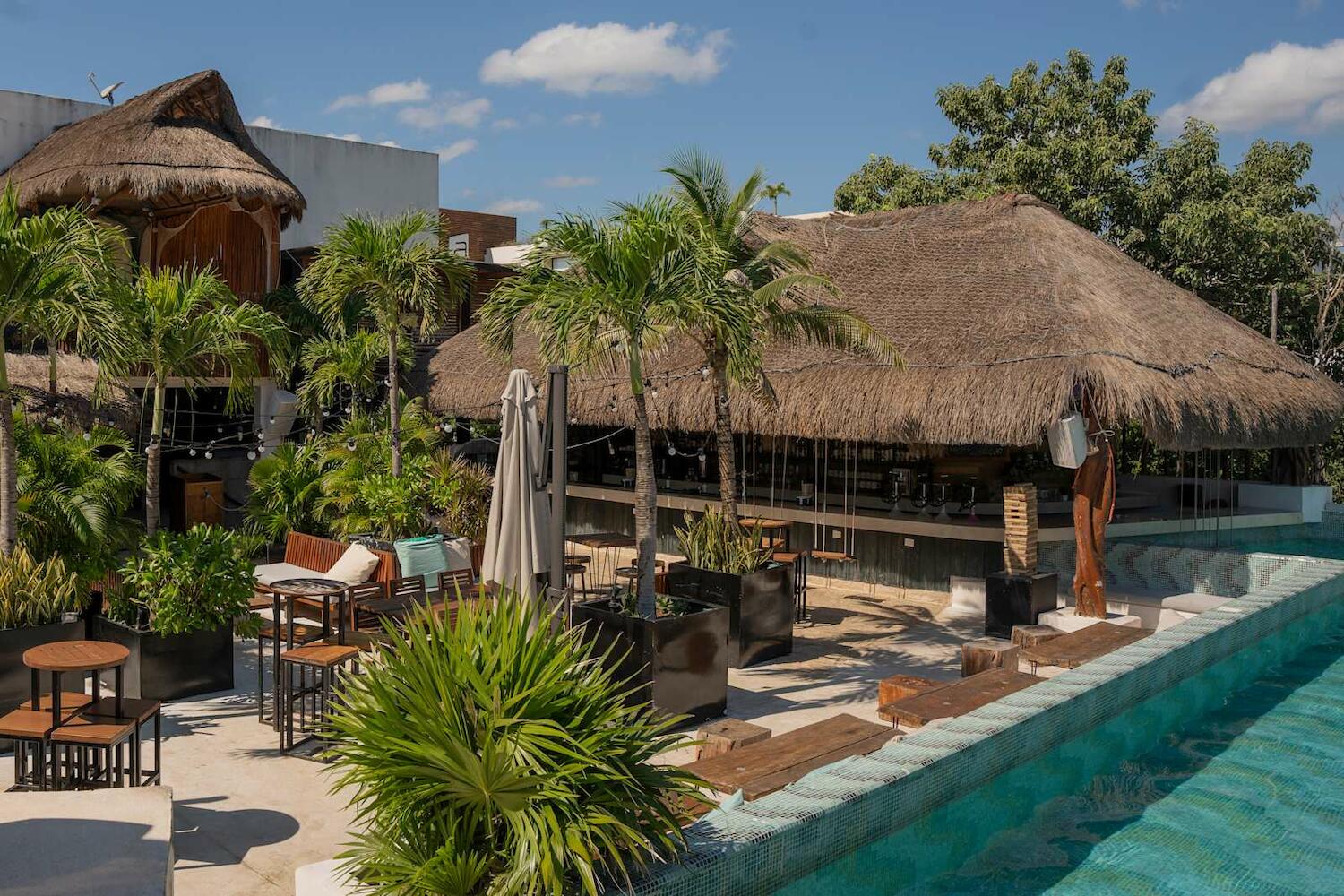 Mayan Monkey Hostel